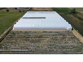 Terreno (Parcela) en venta en Atlixco, Puebla, Atlixco