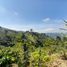  Land for sale in Manizales, Caldas, Manizales