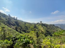  Land for sale in Manizales, Caldas, Manizales