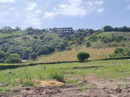  Terreno (Parcela) en venta en Anapoima, Cundinamarca, Anapoima