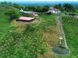 3 Habitación Villa en venta en Filandia, Quindio, Filandia