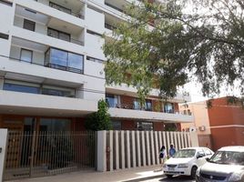 3 Bedroom Apartment for rent in San Fernando, Colchagua, San Fernando