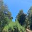  Land for sale in Chile, Pelluhue, Cauquenes, Maule, Chile