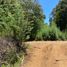 Land for sale in Chile, Pelluhue, Cauquenes, Maule, Chile