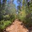  Land for sale in Chile, Pelluhue, Cauquenes, Maule, Chile