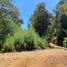  Land for sale in Chile, Pelluhue, Cauquenes, Maule, Chile