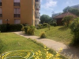 3 chambre Appartement for sale in San Antonio, Valparaiso, San Antonio, San Antonio