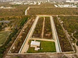  Land for sale in Merida, Yucatan, Merida