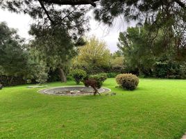  Land for sale in Miguel Hidalgo, Mexico City, Miguel Hidalgo