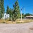  Land for sale in Neuquen, Confluencia, Neuquen