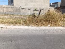  Terreno (Parcela) en venta en Zapopan, Jalisco, Zapopan, Jalisco