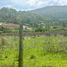 Terrain à vendre à Tapalpa, Jalisco, Tapalpa