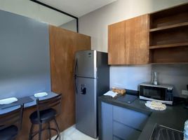 1 Bedroom Apartment for rent in Carmen, Campeche, Carmen, Campeche