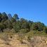  Land for sale in Mineral Del Monte, Hidalgo, Mineral Del Monte