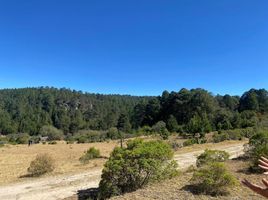  Land for sale in Mineral Del Monte, Hidalgo, Mineral Del Monte