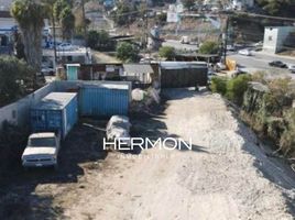  Land for rent in Tijuana, Baja California, Tijuana, Baja California