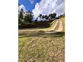  Terreno (Parcela) en venta en El Carmen De Viboral, Antioquia, El Carmen De Viboral