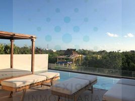 Appartement 1 chambre à louer à Cozumel, Quintana Roo, Cozumel