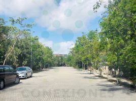  Grundstück zu verkaufen in Cozumel, Quintana Roo, Cozumel
