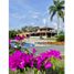 7 Bedroom House for sale in Circasia, Quindio, Circasia