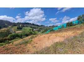 Terrain à vendre à Rionegro, Antioquia, Rionegro