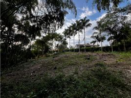  Terreno (Parcela) en venta en Pereira, Risaralda, Pereira