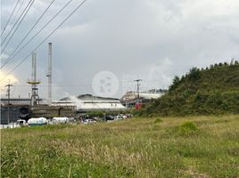  Terreno (Parcela) en alquiler en Manizales, Caldas, Manizales