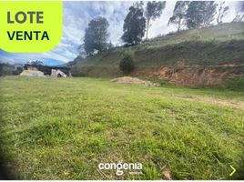  Land for sale in El Carmen De Viboral, Antioquia, El Carmen De Viboral