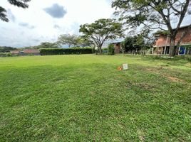  Land for sale in Jamundi, Valle Del Cauca, Jamundi