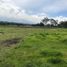  Land for sale in Ecuador, Puembo, Quito, Pichincha, Ecuador