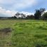  Land for sale in Pichincha, Puembo, Quito, Pichincha