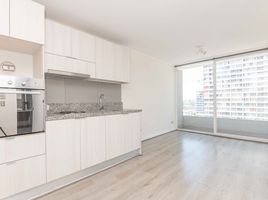 1 Bedroom Condo for rent in Chile, Santiago, Santiago, Santiago, Chile
