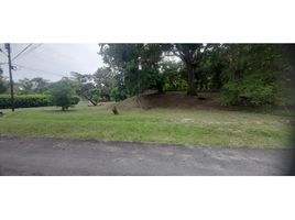  Land for sale in San Carlos, Panama Oeste, San Carlos, San Carlos