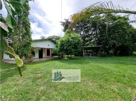 2 Habitación Casa en alquiler en Panamá, San Carlos, David, Chiriquí, Panamá