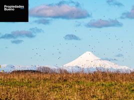  Terreno (Parcela) en venta en Los Lagos, Osorno, Osorno, Los Lagos