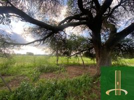  Terreno (Parcela) en venta en Santa Maria, Cordobá, Santa Maria