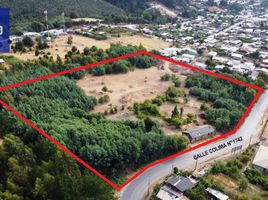  Terreno (Parcela) en venta en Chile, Angol, Malleco, Araucanía, Chile