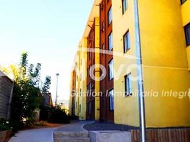2 Bedroom Apartment for rent in Malleco, Araucania, Angol, Malleco