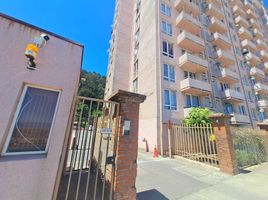 3 Schlafzimmer Wohnung zu vermieten in Biobío, Tome, Concepción, Biobío