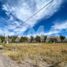  Land for sale in Confluencia, Neuquen, Confluencia