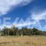  Land for sale in Confluencia, Neuquen, Confluencia