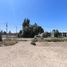  Land for sale in Neuquen, Confluencia, Neuquen