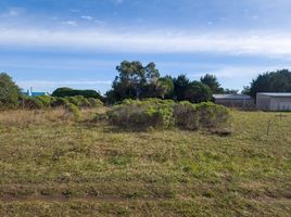  Land for sale in General Alvarado, Buenos Aires, General Alvarado