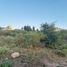  Land for sale in Punilla, Cordoba, Punilla