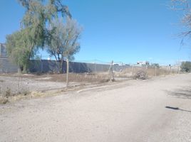  Land for sale in Lujan De Cuyo, Mendoza, Lujan De Cuyo