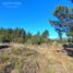  Terrain for sale in Bariloche, Rio Negro, Bariloche