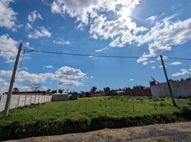  Land for sale in La Plata, Buenos Aires, La Plata