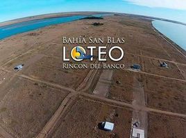  Land for sale in Patagones, Buenos Aires, Patagones