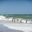  Land for sale in La Costa Buenos Aires, La Costa