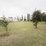  Land for sale in Maraco La Pampa, Maraco